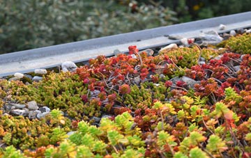the cost of Braeside green roof installation